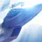 ACE COMBAT 7 SKIES UNKNOWN 皇牌空战 7 未知空域 [DLC 解锁] [DLC Unlock] [Steam] [Windows & SteamOS]