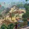 Planet Zoo 动物园之星 [DLC 解锁] [DLC Unlock] [Steam] [Windows & SteamOS]