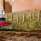 Thomas & Friends Wonders of Sodor 托马斯和朋友 多多岛奇观 [DLC 解锁] [DLC Unlock] [Steam] [Windows & SteamOS]