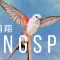 Wingspan 展翅翱翔 [DLC 解锁] [DLC Unlock] [Steam] [Windows & SteamOS & macOS]